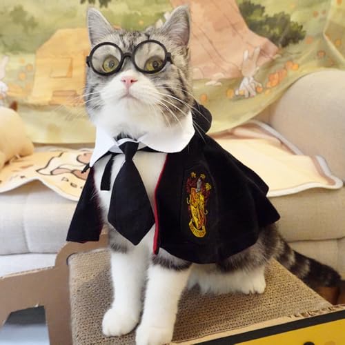 Disfraz Halloween Magician para Perros y Gatos Tamaño M miniatura 4