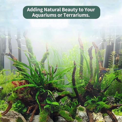 Image of Hamiledyi 24 Pcs Small Driftwood for Aquarium 3 inch-5 inch Driftwood Branches Aquarium Decoration Reptiles Reptile Tank Accessories Assorted Size Natural Habitat Decor Wood for Lizad