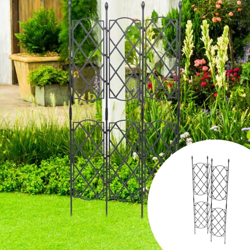 Support robuste pour vignes et architecture de jardin haut de gamme - 8