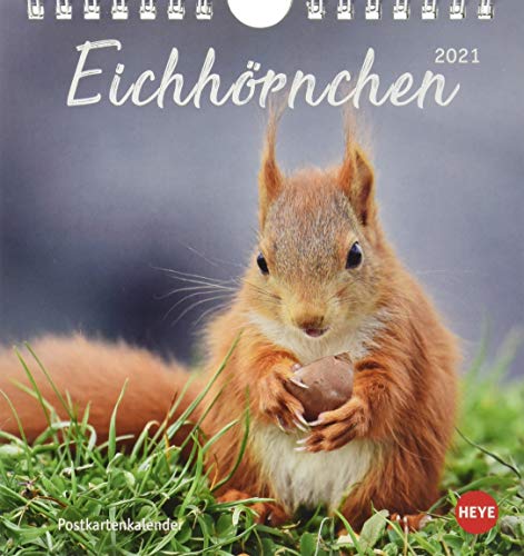 Télécharger Eichhörnchen 2021 Postkartenkalender Livre eBook France