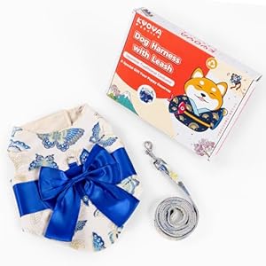 KYOYA Pet Harness and Leash Set – No Pull Harness with Leash for Dogs and Cats – Japanese Traditional Costume, White, Small