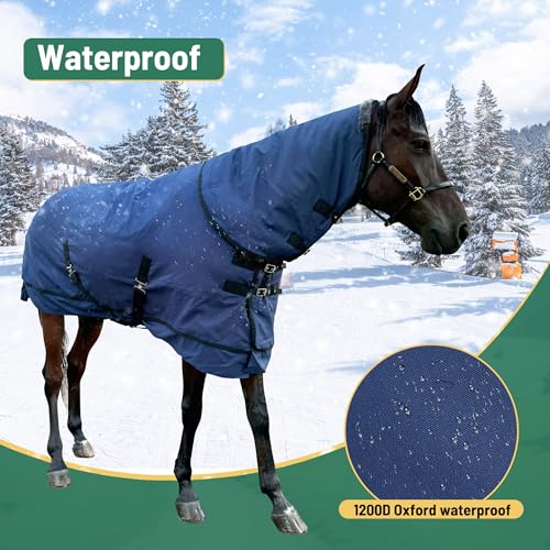 Image of Horse Turnout Blanket | Medium Weight Horse Blanket with 1200D 250g Cotton Filling | Detachable Neck Cover & Belly Wrap (72in /135cm)