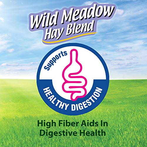 Image of Kaytee All Natural Timothy Hay Wild Meadow Hay Blend for Guinea Pigs, Rabbits & Other Small Animals, 24 Ounce (Pack of 2)