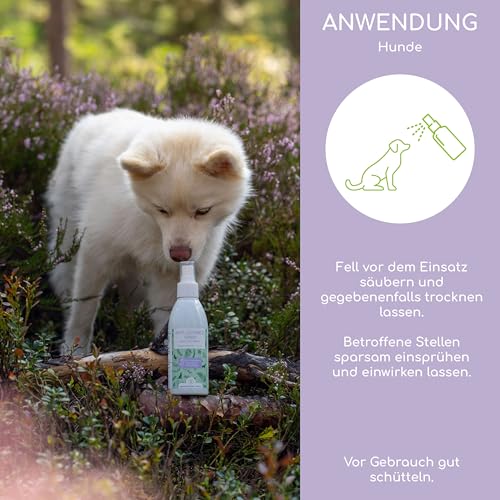 Juckreiz Spray für Hunde - Bei trockener Haut mit Juckreiz und Milben - Pflegt, unterstützt und regeneriert 100% pflanzlichen Wirkstoffe - Mit Teebaumöl und Lavendel, 200ml