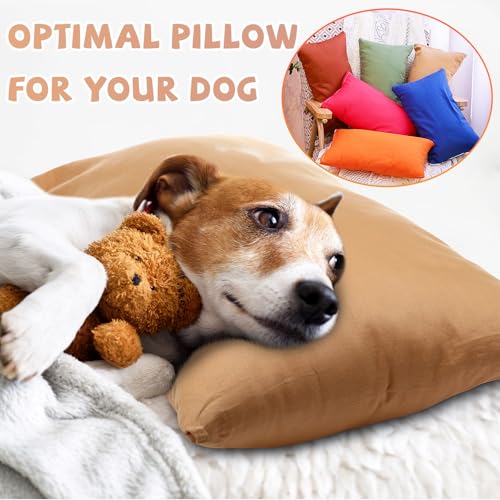 Set 6 Almohadas pequeñas de fibra multicolor 35.6x22.9 cm miniatura 5