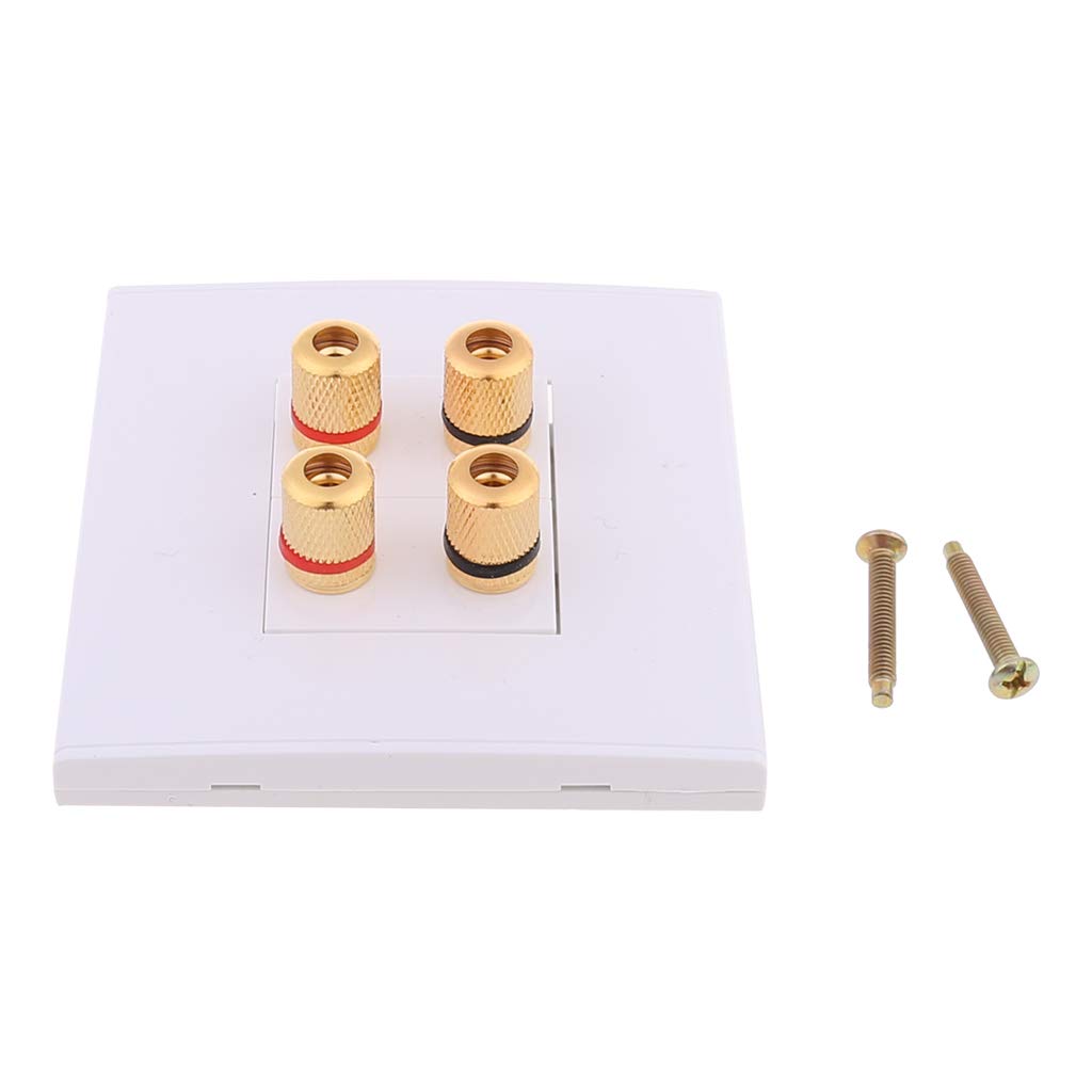 Bigula Panel Terminals 2 4 Binding Post Banana Connector Channels Wall Socket Plate Surround Sound Faceplate