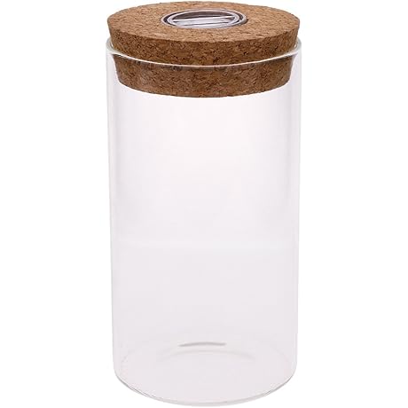 Glass Plant Terrarium Featuring Vibrant LED Illumination