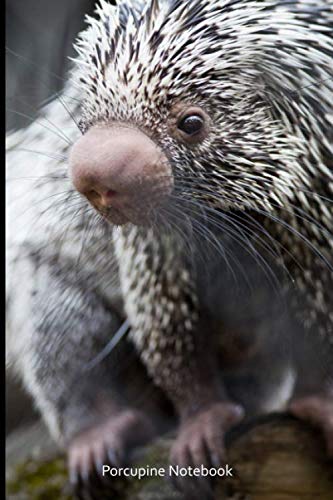 Porcupine Notebook: Small lined Porcupine notebook - Travel Journal to write in - 120 pages - 6"x9"