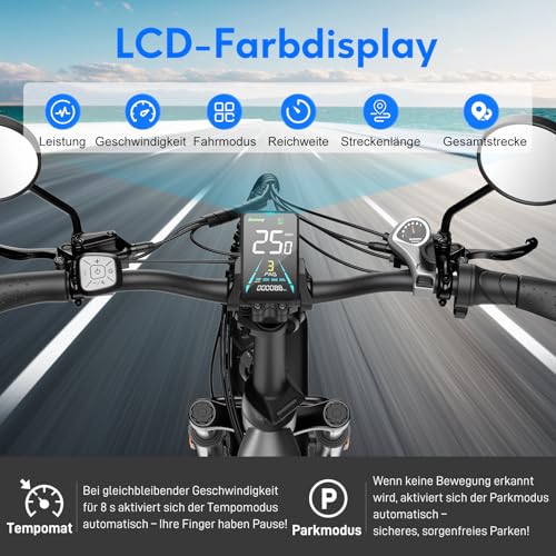 Fafrees FF20 Polar Fatbike E Bike Klapprad 20 Zoll mit 48V 10,4Ah*2 Akkus, E-Bike Damen Herren,...