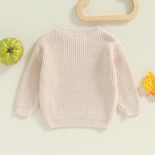 Baby Thanksgiving Outfit Toddler Boy Girl Cute Turkey Embroidery Sweater Newborn Infant Fall Winter Clothes4