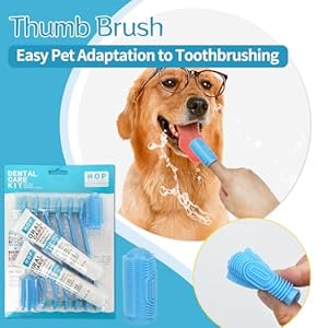 HOP Dog Toothbrush 10PCS Cats Dogs Dental Care Soft Bristles Finger Toothbrush Set Toothpaste Fresh Breath Dog Oral Care Kit Suitable for All Pets Home of Paws