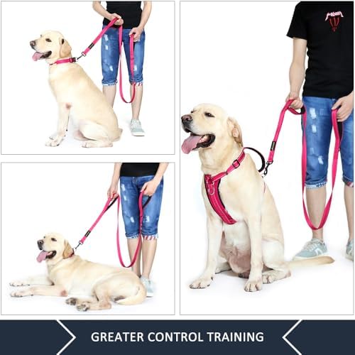 Plutus Pet Double Handle Dog Leash, 6 FT Long, for Medium Large Dogs - 2