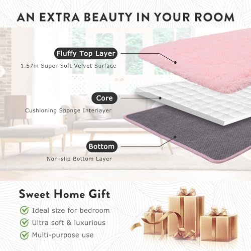 Small Pink Rug for Bedroom, 2x3 Fluffy Shaggy Area Rugs for Girls Kids Room, Soft Non-Slip Fuzzy Shag Carpet for Living Room, Indoor Floor Throw Rugs for Home Decor