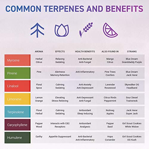 Terpene Profile Banana Kush Organic, 5 ml – Bild 4