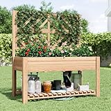 Vabches Wooden Elevated Raised Garden Bed with Trellis,47x24x55 in Planter Box with Legs and Storage Shelf,FreeStanding Gardening Planter for Flower Herb Vegetable Fruit Climbing Vines