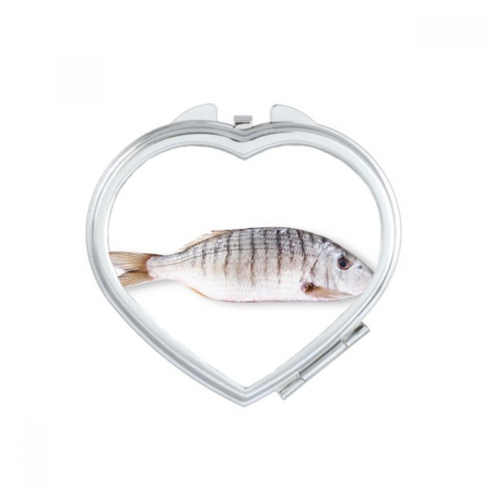 Miroir compact maquillage résistant pour corriger le teint
