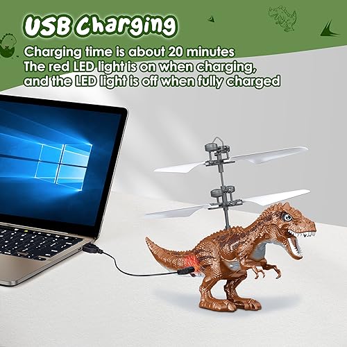 Amiline SQN-044 2 Pack Flying Dinosaur Toys thumb #3