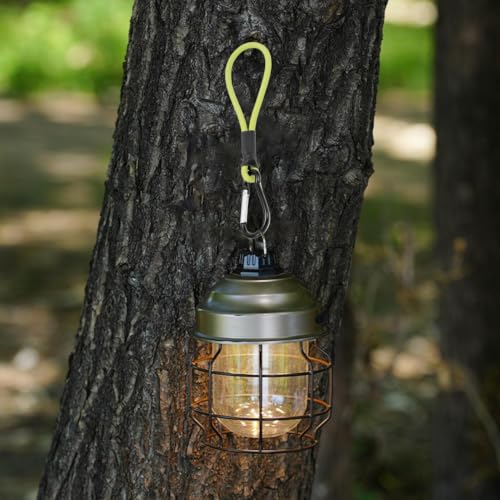 Elastic Rope With Carabiner Accessories_desvips.com