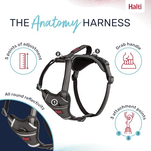 Image of Halti Anatomy Dog Harness with Handle | Size L, Grey | Padded, Adjustable & Reflective No Pull Dog Harness, 3 Leash Attachment Points including Front Clip, Suitable for Large Dogs