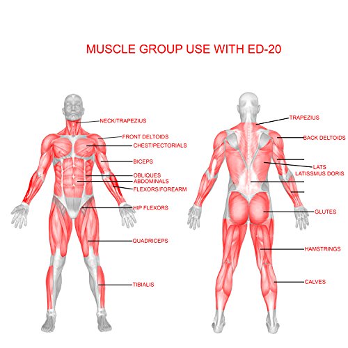 Valor Fitness ED-20 VFX Training Straps 3.0 – Storage Bag Included