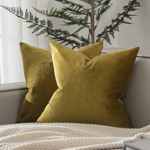 Image of JUSPURBET Olive Velvet Throw Pillow Covers 22x22 inch Set of 2 for Living Room Couch Sofa Bedroom Decorative Square Solid Soft Cushion Cases with Invisible Zipper