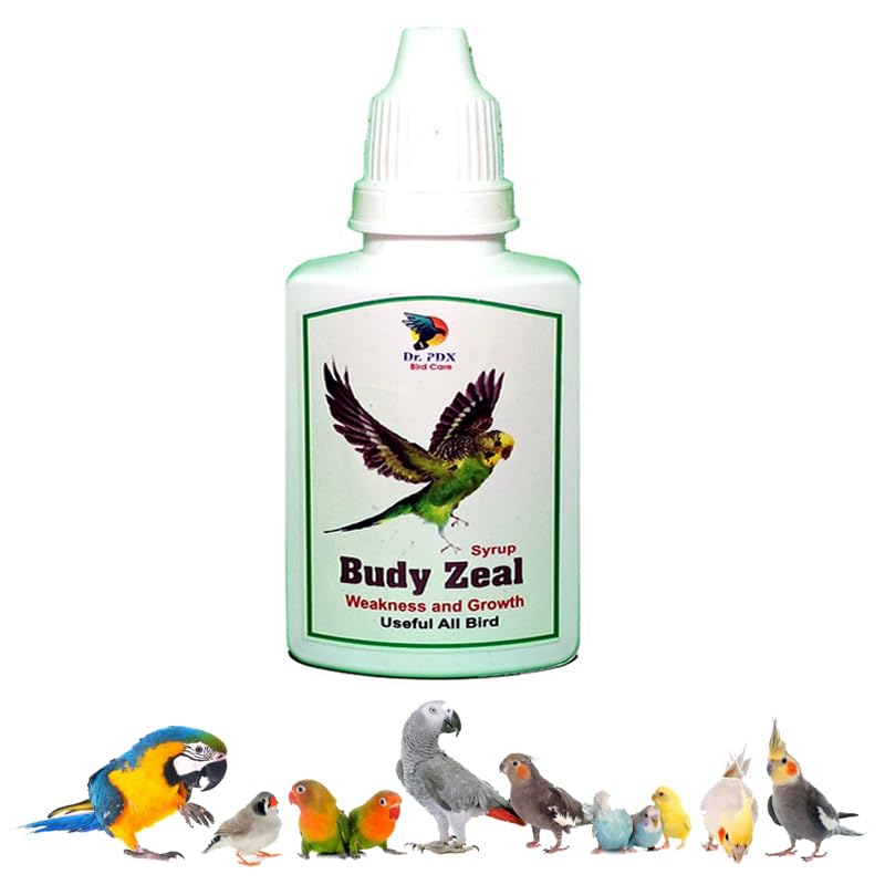 Small Bird Good Health Fittnes Growth Suplement || Budy Zeal || Bird Medicine || Best Medcine for All Bird (20.ml) (B0CJ5CM14K) Amazon Price History, Amazon Price Tracker