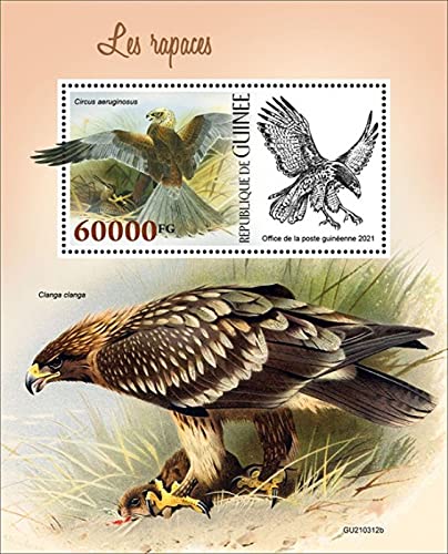 Guinea - 2021 Birds of Prey, Western Marsh Harrier - Souvenir Sheet - GU210312b