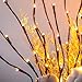 EAMBRITE 6PK Lighted Branches Brown Twig Stake with 120LED Warm White Lights, 30