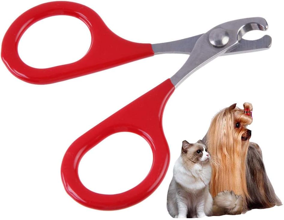 Pet Nail Clipper Stainless Steel Cat Dogs Nail Clippers Pet Cut Nail Scissors Nailclippers Pet Nail Claw Grooming Scissors Cutter 8Pcs