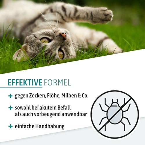 AniGo Parasitenschreck Spot On für Katzen 50ml – Flohmittel & Zeckenmittel für Katzen, Effektiv gegen Ektoparasiten Floh und Zeckenmittel, Lösung zum Auftropfen, Floh- & Zeckenschutz
