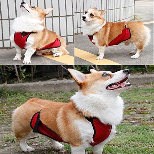 Chaleco Abrigo Protector de Vientre para Perras de Patas Cortas - Impermeable miniatura 3