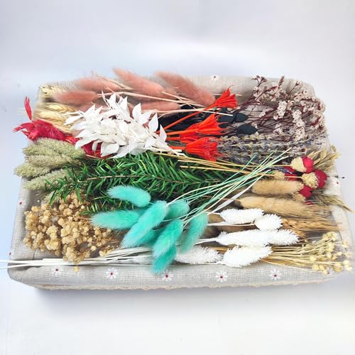 Kit natural de flores secas para manualidades y decoración miniatura 3