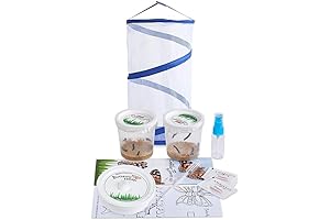 Nature Gift Store Live Butterfly Kit