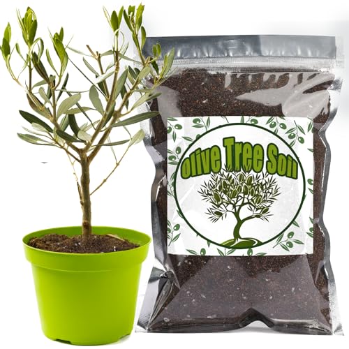 Doter Premium Olive Tree Potting Mix 4qt, Uesed for the Propagation of Olive Trees by Cuttings or...
