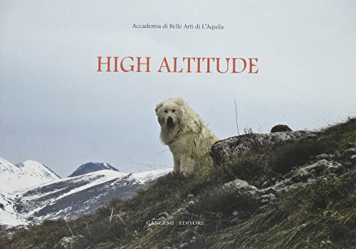  High altitude. Ediz. illustrata