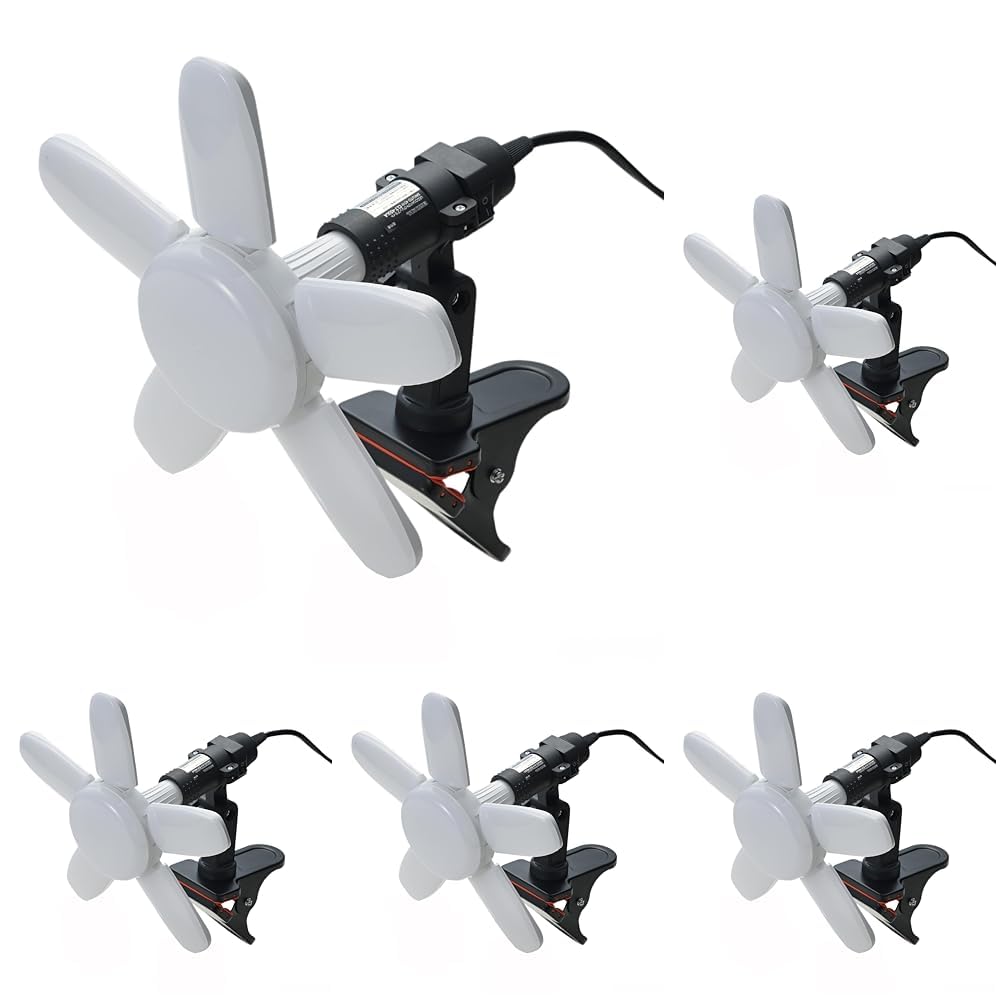 ひかる ひかる | シーズン2025 | ストリートファイターリーグ | CAPCOM