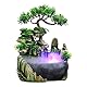 Ejoyous Wasserfall-Dekor, Zimmerbrunnen mit LED Beleuchtung, Tischbrunnen Wasserfall mit Nebel, Zen Light Zimmerbrunnen mit Pflanzen, luftbefeuchter Dekoration 20 x 20 x 13 cm