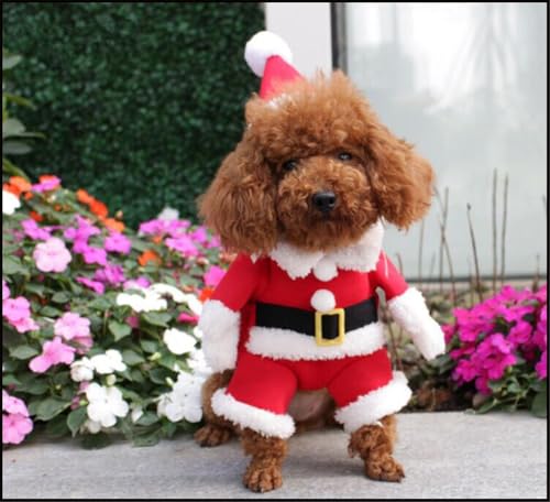 Costume de Noël pour chien chat avec bonnet à capuche rose M