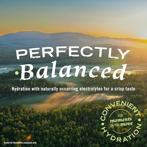 Image of Poland Spring Maine Spring Water Bottles, 12-Pack - Still Bottled Water with Naturally Occurring Minerals for Taste - 12 Fl Oz Bottles