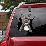 Ocean Gift French Bulldog Car Decals, Dog Car Stickers Pack of 2 - Realistic Frenchie Stickers for Car Windows, Walls Series 68 Size 8' x 8'