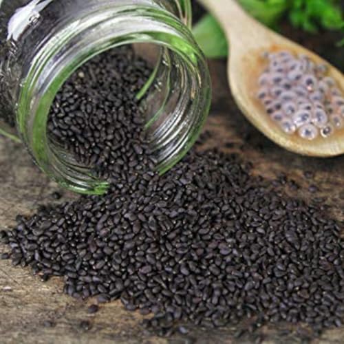 Image of Nutri Organics Basil Seeds 1kg - Sabja Seeds | Tukmaria Seeds with High Fibre and Omega 3 | Seeds for Eating | Weight Management | Seeds Tukmaria