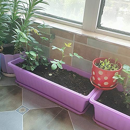 blumenkasten hoch sichtschutz Flexi-Design Blumenkasten mit Sichtschutz bis 150cm – Potflex main image 1