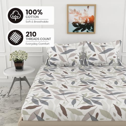 Image of LORETO - A QUALITY LINEN BRAND 210 TC 100% Pure Cotton Double /Queen Fitted Bedsheet with 2 Pillow Covers for 78 x 60 Inch Mattress, All-Around Elastic, 8 Inch Deep Pocket, Grey Leaf Whisper