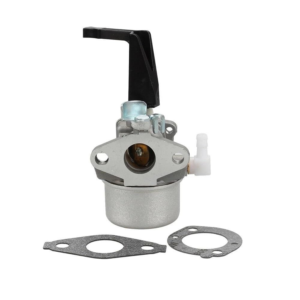 Carburateur de rechange 696065 pour réparer la tondeuse du jardin et entretenir la pelouse