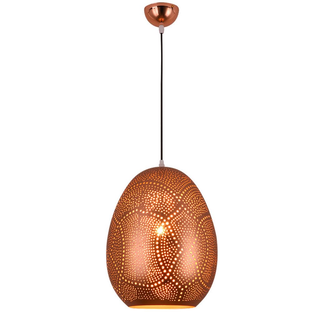 Suspension moderne en fer ajouré E27 lustre décoratif haut de gamme 20x27cm pour votre design