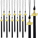 20Pcs Graduation Tassels Academic Graduation Cap Hat Tassel with 2023 Gold Charm for 2023 Graduation Ceremonies Accessories (Black)