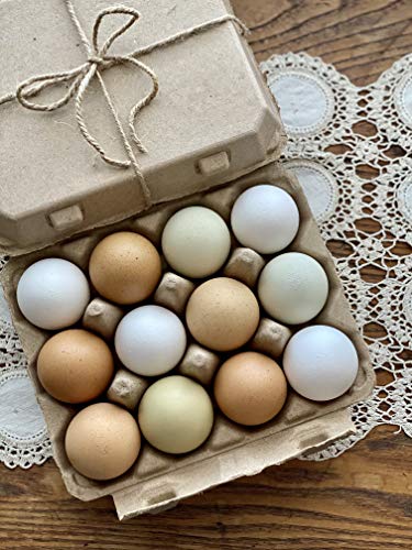 Vintage Blank Egg Cartons- Classic 3x4 Style Holds 12 Large Eggs, Sturdy Design Made from Recycled Cardboard (25) - Thumbnail 7