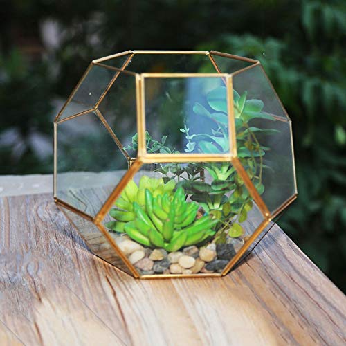 Kuingbhn Plant Terrarium Modern Clear Glass Hexagon Geometric Terrarium Oblique Geometric Plant Container For Home And Wedding Indoor And Outdoor Decor (Color : Brass, Size : 21.5X21.5X17.5CM)