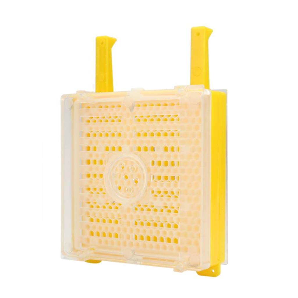 Kit complet d'élevage de la reine Jenter Queen pour l'élevage des abeilles, pour enlever les abeilles, mangeoires à oiseaux suspendues pour l'extérieur pour l'extérieur Mangeoire à oiseaux et poteaux