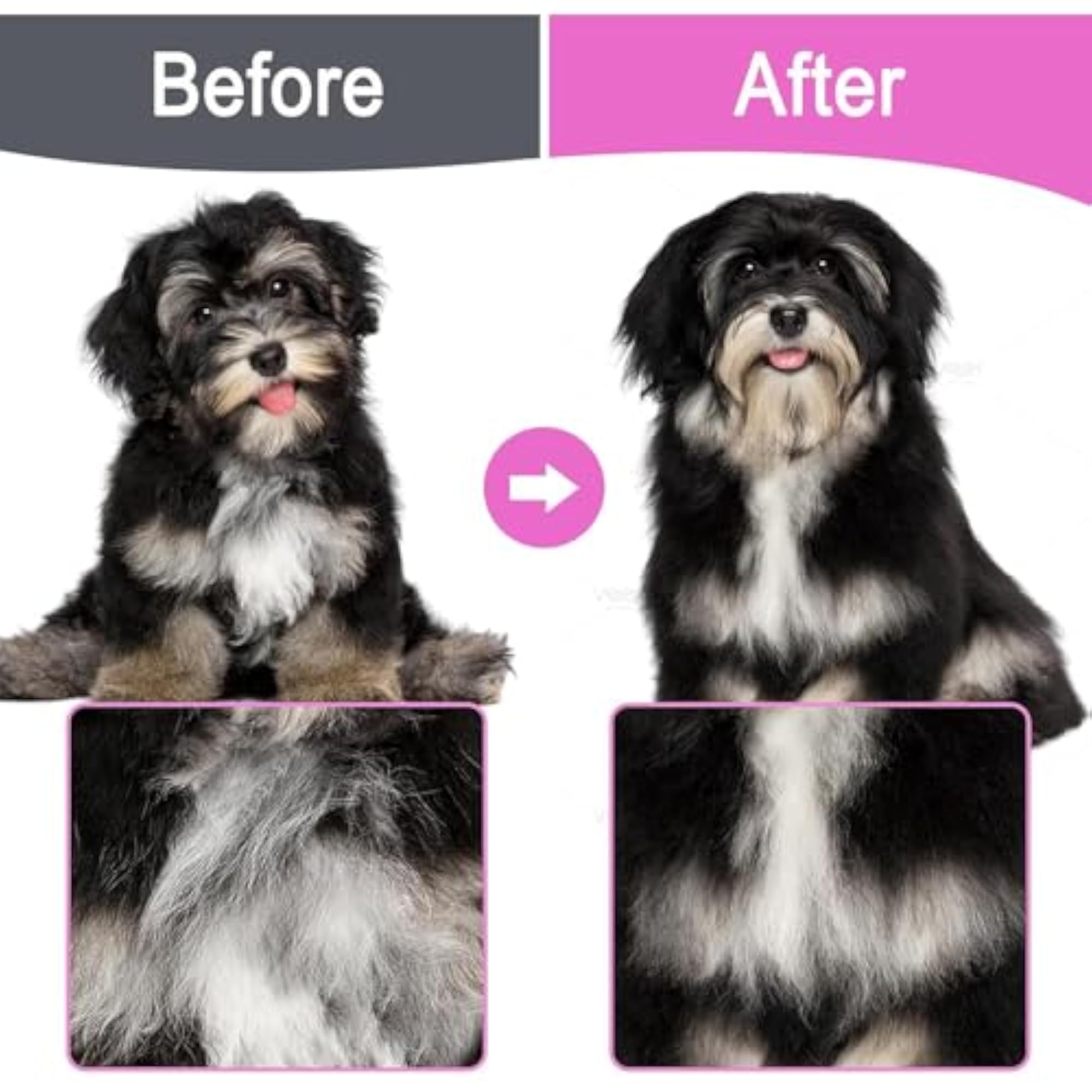 Flea Lice Comb Set for Dogs and Cats